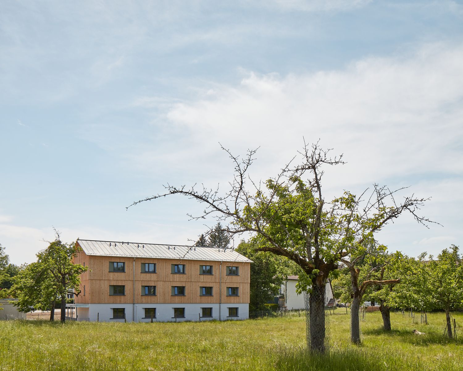 Dreherareal | Sozialwohnungen